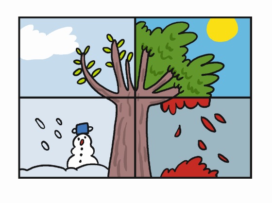 N ilustracji widać drzewo przedstawione o różnych porach roku.