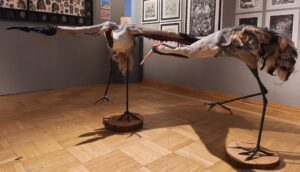 Na zdjęciu widzimy dwie rzeźby przedstawiające patki.  Prawdopodobnie czaple. Ptak po lewej ma rozpostarte skrzydła, ptak po prawej złożone. Oba stoją na jednej nodze. 