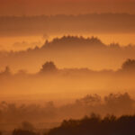 Fotografia przedstawiająca zachód słońca, mgłę nad drzewami