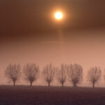 Fotografia przedstawiająca naturę, zachód słońca i drzewa.
